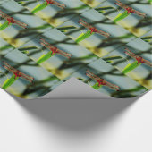 Rood- en zwarte dragonvlieg met schroefdraad cadeaupapier (Hoek)