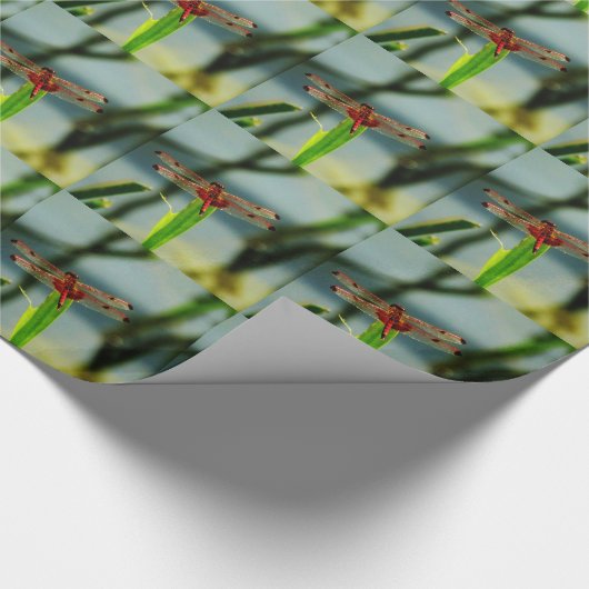 Rood- en zwarte dragonvlieg met schroefdraad cadeaupapier (Hoek)