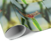 Rood- en zwarte dragonvlieg met schroefdraad cadeaupapier (Rol Hoek)