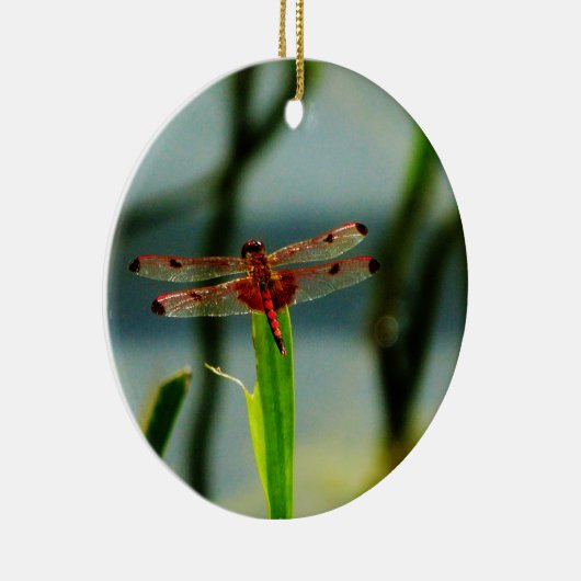 Rood- en zwarte dragonvlieg met schroefdraad keramisch ornament (Rechts)