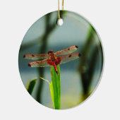 Rood- en zwarte dragonvlieg met schroefdraad keramisch ornament (Links)