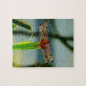 Rood- en zwarte dragonvlieg met schroefdraad legpuzzel (Horizontaal)