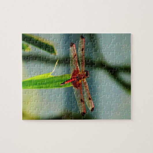 Rood- en zwarte dragonvlieg met schroefdraad legpuzzel (Horizontaal)