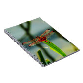 Rood- en zwarte dragonvlieg met schroefdraad notitieboek (Rechterzijde)
