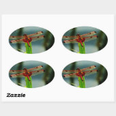 Rood- en zwarte dragonvlieg met schroefdraad ovale sticker (Vel)