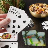 Rood- en zwarte dragonvlieg met schroefdraad pokerkaarten (Insitu)