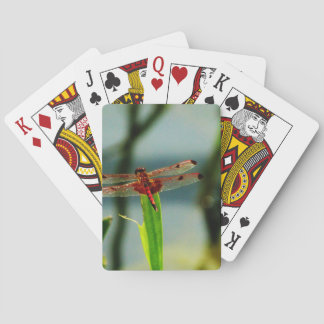 Rood- en zwarte dragonvlieg met schroefdraad pokerkaarten