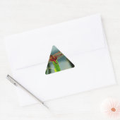 Rood- en zwarte dragonvlieg met schroefdraad sticker (Envelop)