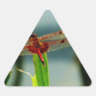Rood- en zwarte dragonvlieg met schroefdraad sticker