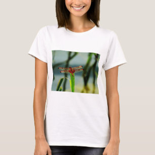 Rood- en zwarte dragonvlieg met schroefdraad t-shirt
