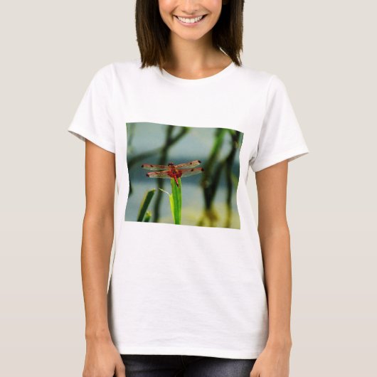 Rood- en zwarte dragonvlieg met schroefdraad t-shirt (Voorkant)