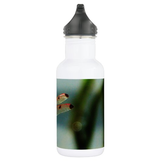 Rood- en zwarte dragonvlieg met schroefdraad waterfles  (Rechts)