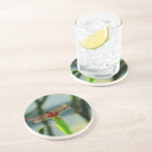 Rood- en zwarte dragonvlieg met schroefdraad zandsteen onderzetter (Zijkant)