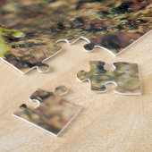 Rood- en zwarte giftoorkikker legpuzzel (Zijkant)