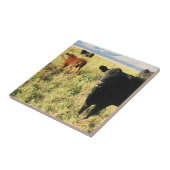 Rood- en zwarte koe Calf Herd - Jonge kalveren Tegeltje (Zijkant)