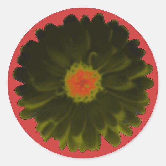 Rood-en-zwarte marigold-stickers ronde sticker (Voorkant)