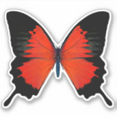 Rood- en zwarte vlinder sticker (Voorkant)