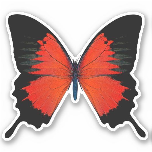 Rood- en zwarte vlinder sticker (Voorkant)
