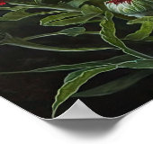 Rood Engels Daisy Flower Art Print Poster (Hoek)