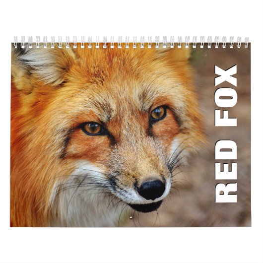 Rood Foxes Wall Agenda Kalender (Hoes)