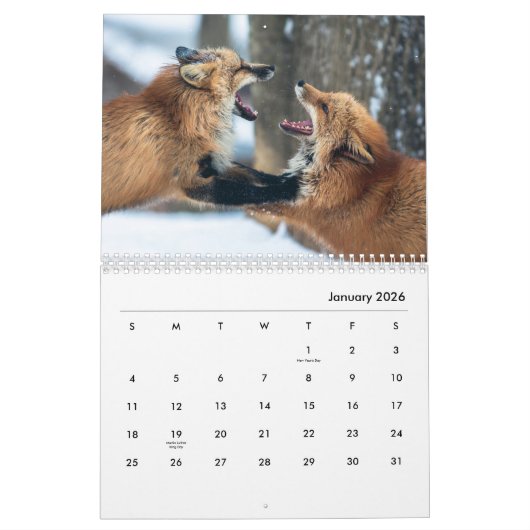 Rood Foxes Wall Agenda Kalender (Jan 2026)