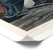Rood-Gedekte duiker door Poster van Audubon (Hoek)