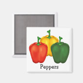 Rood, geel en groen magneet (Voorkant / Achterkant)