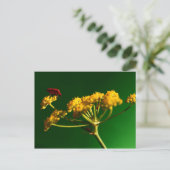 Rood - Geel - Groen Briefkaart (Staand voorkant)