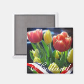 Rood Geel Hollandse Tulpen Holland Koelkast Magnee Magneet (Voorkant / Achterkant)