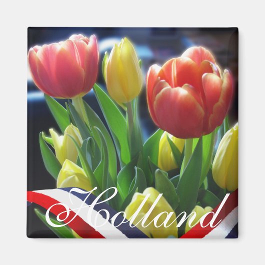 Rood Geel Hollandse Tulpen Holland Koelkast Magnee Magneet (Voorkant)