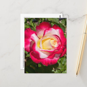 Rood & Geel Rose Briefkaart