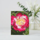 Rood & Geel Rose Briefkaart (Staand voorkant)
