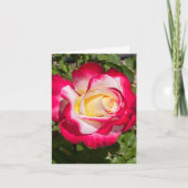 Rood & Geel Rose Gepersonaliseerd Wenskaart Kaart (Voorkant)