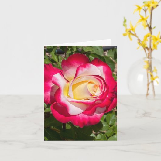 Rood & Geel Rose Gepersonaliseerd Wenskaart Kaart (Gele Bloem)