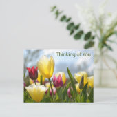 Rood, Geel & Roze Tulpen Denken aan jou Feestdagenkaart (Staand voorkant)