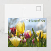 Rood, Geel & Roze Tulpen Denken aan jou Feestdagenkaart (Voorkant / Achterkant)