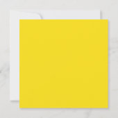 Rood, geel, zwart, blauw en groen (Achterkant)