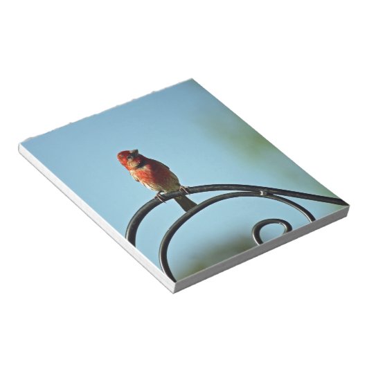 Rood gekleurde vink op zwarte, witte ijzerpoel notitieblok (Schuin)