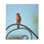 Rood gekleurde vink op zwarte, witte ijzerpoel notitieblok (Voorkant)