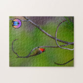 Rood-gelaatste Warbler Jigzaag Puzzle Legpuzzel (Horizontaal)