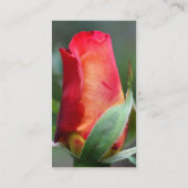 Rood gele rosebud Visitekaartje (Achterkant)