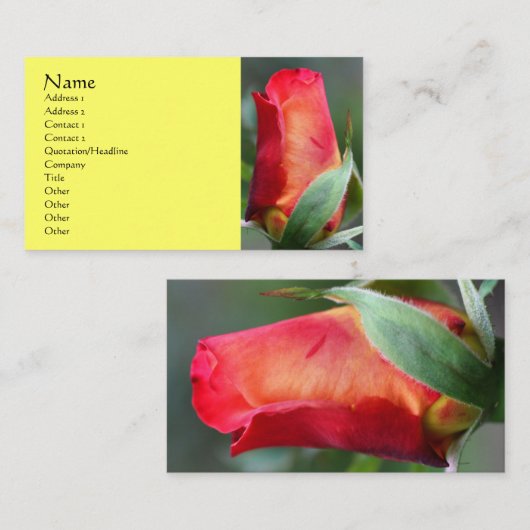 Rood gele rosebud Visitekaartje (Voorkant / Achterkant)