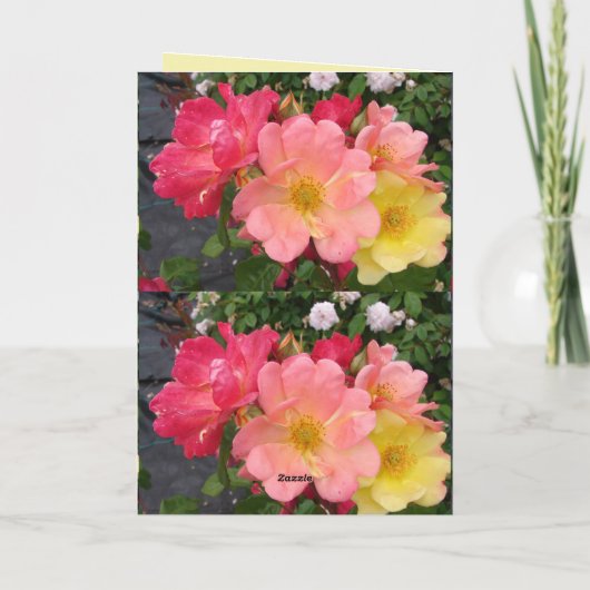 Rood gele rozenbloem  Rozen Kaart (Achterkant)