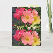 Rood gele rozenbloem Rozen Kaart (Voorkant)