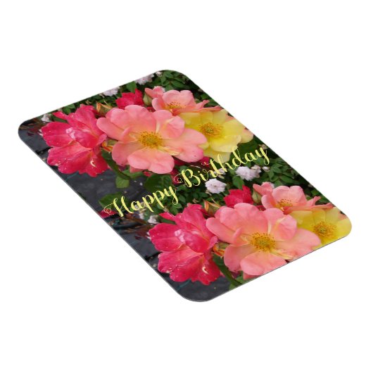 Rood gele rozenbloem Vloeiende Rozen Magneet (Rechterzijde)