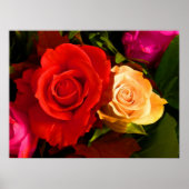 Rood gele rozenPoster Poster (Voorkant)