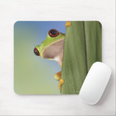 Rood-geoogste kikker die van achter een lef naar v muismat (Met muis)