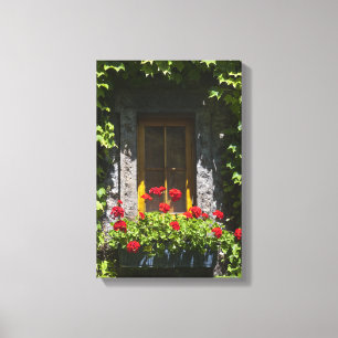 Rood geranium Flowers Box Canvas Afdruk