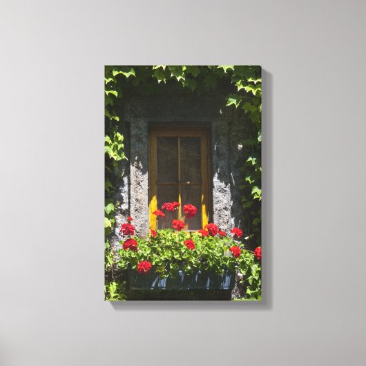 Rood geranium Flowers Box Canvas Afdruk (Voorkant)