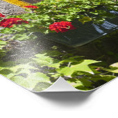 Rood geranium Flowers Box Foto Afdruk (Hoek)